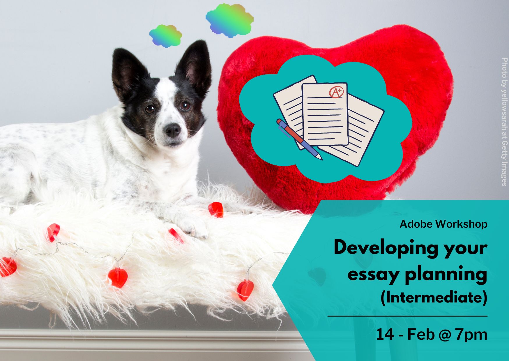 Corgi dog sat on a fluffy bench dreaming of essays in a thought bubble