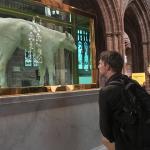 Photo: Paul-Francois Tremlett