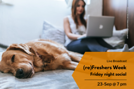 Picture of a person on a laptop with a golden Labrador sleeping dog