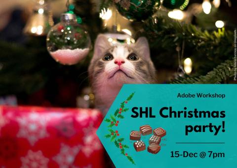 Image of a cat, ball ball, and Christmas tree lights