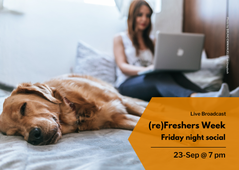 Picture of a person on a laptop with a golden Labrador sleeping dog